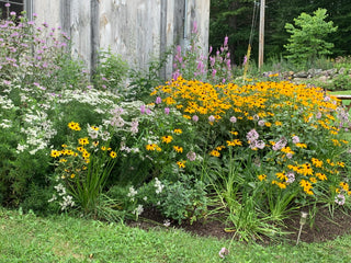 Native Plants Farm Tour -