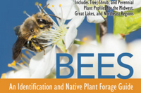 ~ Bees: An Identification and Native Plant Forage Guide SHIPS FREE