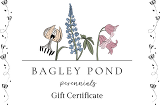 ~ Bagley Pond Perennials Physical Gift Certificate