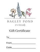 ~ Bagley Pond Perennials eGift Card