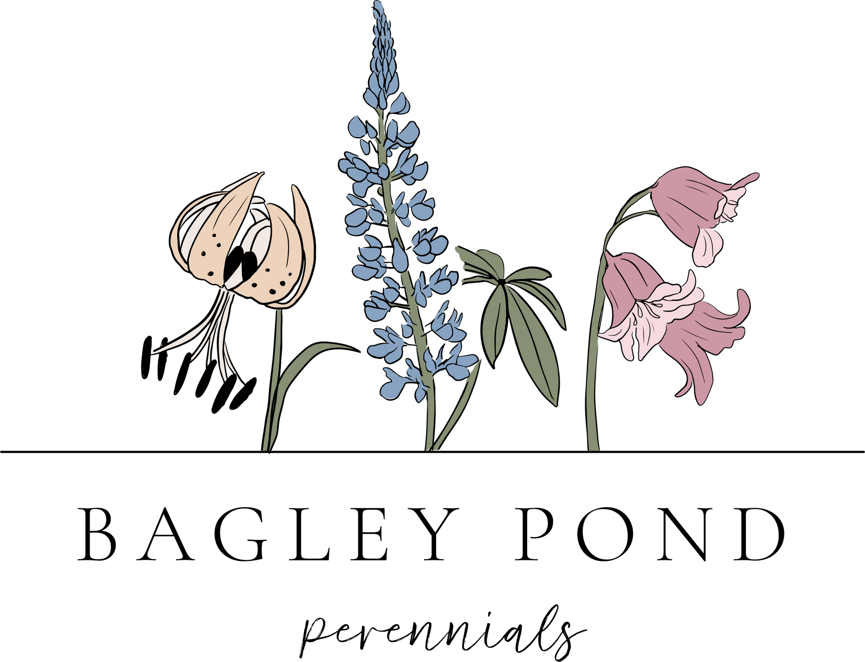 Bagley Pond Perennials organic native plants in New Hampshire farm