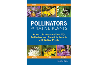 ~ Pollinators of Native Plants SHIPS FREE