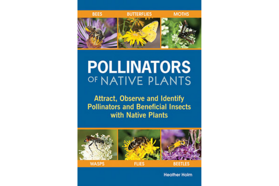 ~ Pollinators of Native Plants SHIPS FREE – Bagley Pond Perennials